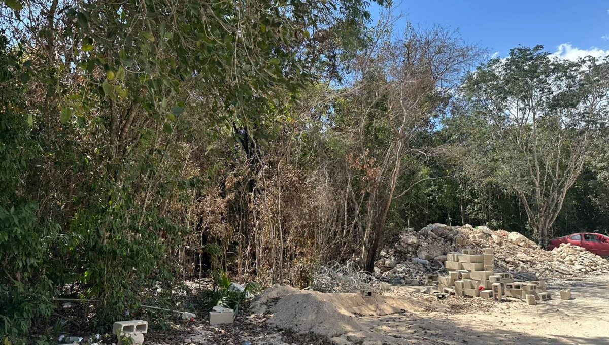 Hectarea Alamos II 2026-03-19 at 10.53.46 AM-2
