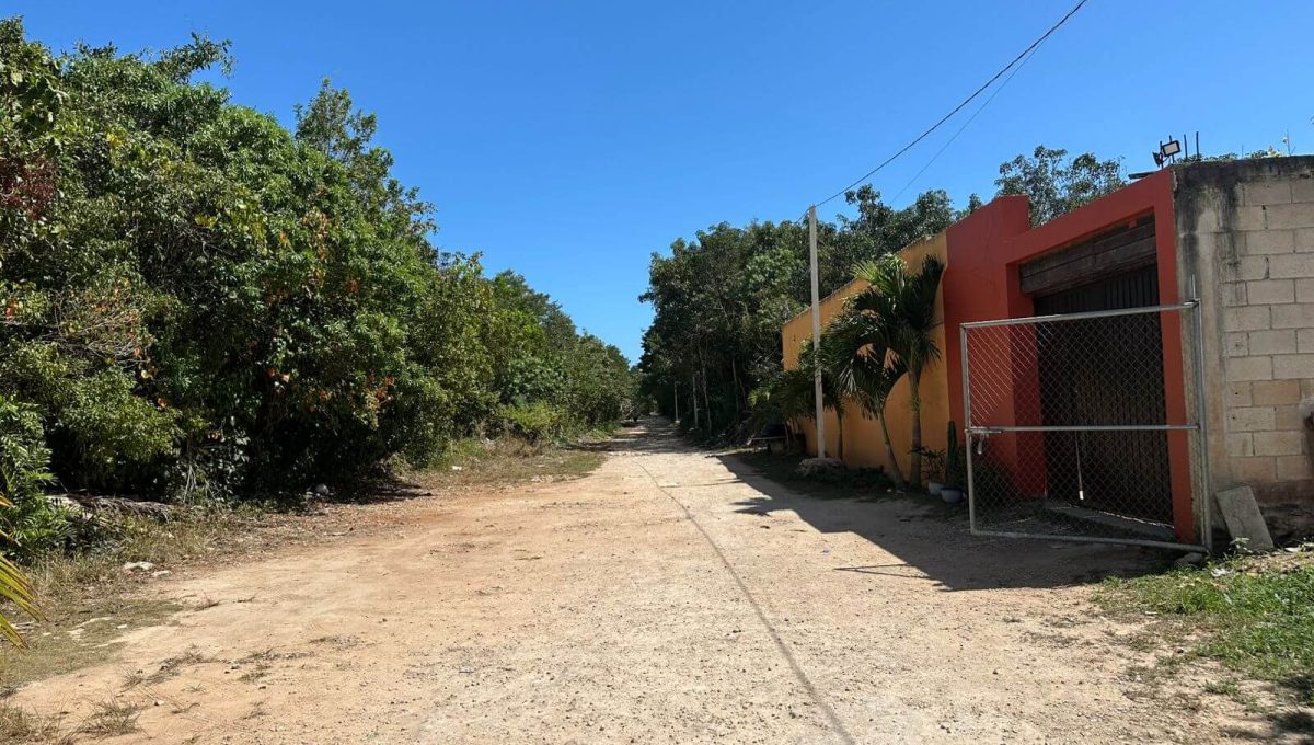Hectarea Alamos II 2026-03-19 at 10.53.47 AM-2