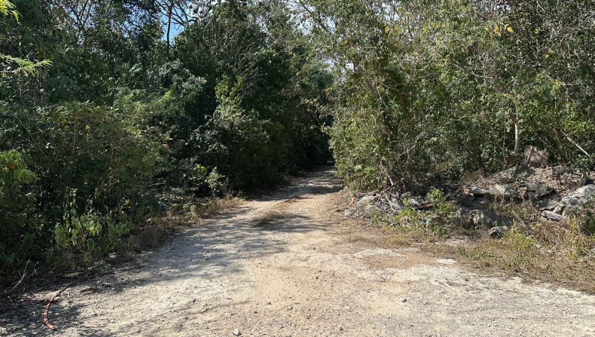 Hectarea Alamos II 2026-03-19 at 10.53.47 AM-4