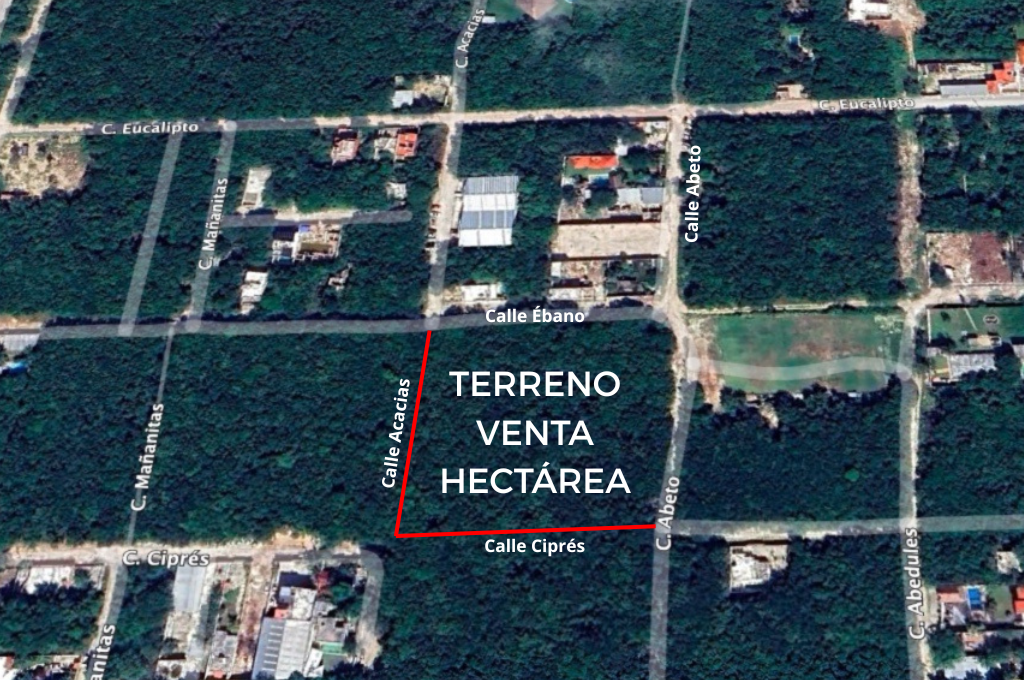 Hectarea Alamos II Ebano