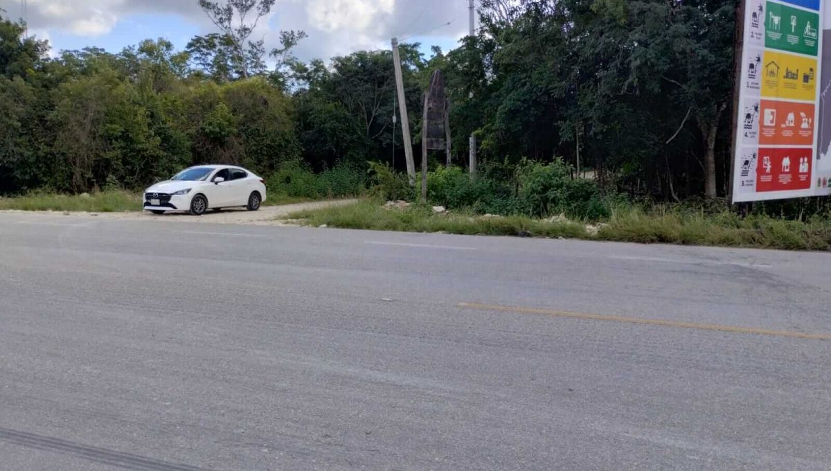 Hectarea Tulum Calle 12 2026-03-12 at 11.52.52 AM-3