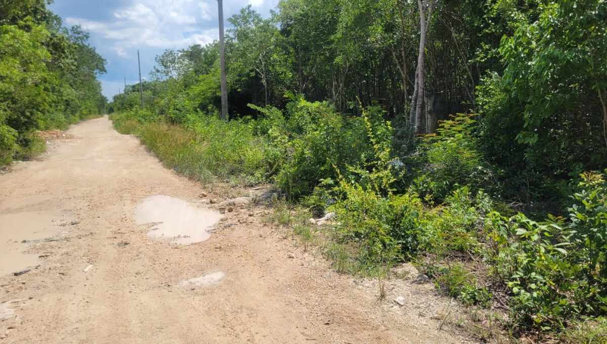 Huayacán Alamos IIMLM76050318981_042024-F