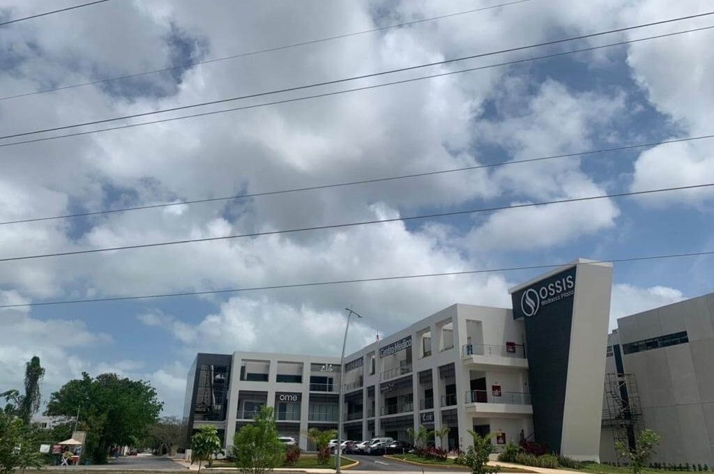 Huayacán y Ciricote Alamos II_666591-MLM76050134511_042024-F