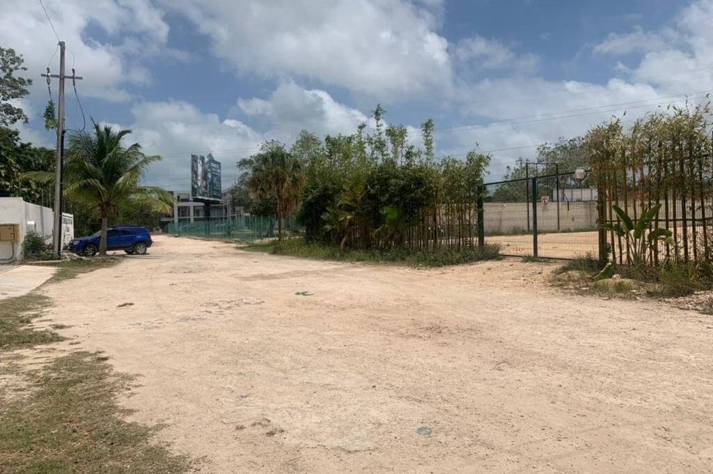 Huayacán y Ciricote Alamos II_901747-MLM76050310741_042024-F