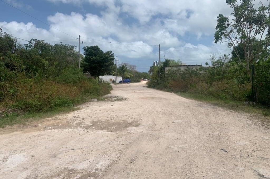 Huayacán y Ciricote Alamos II_943350-MLM76050368827_042024-F