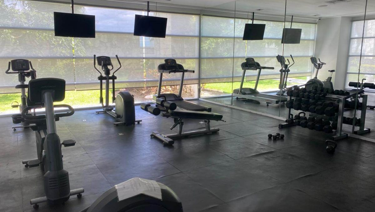 Malecón Cartagena 2024-10-16 at 1.34.34 PM (1)