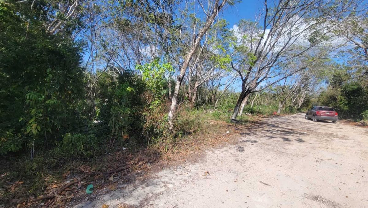 Mañanitas-2024-04-02-at-2.22.44-PM-1-1