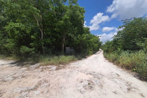 Nogal Alamos II 2022-07-26 at 10.59.38 AM (3)