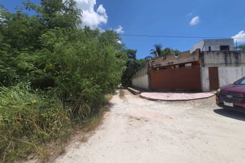 Nogal Alamos II 2022-07-26 at 11.06.54 AM