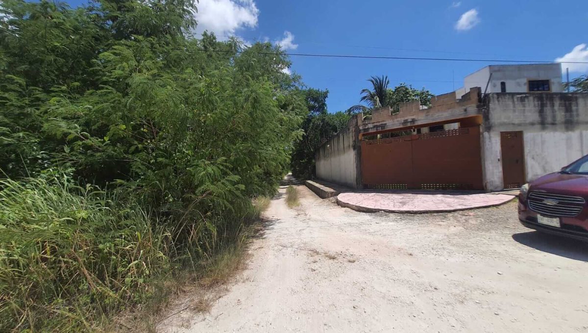 Nogal Alamos II 2022-07-26 at 11.06.54 AM