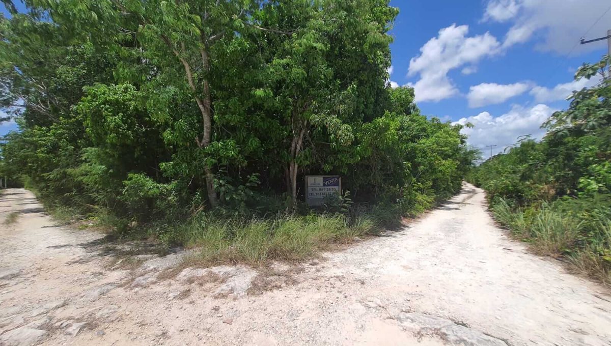 Nogal Alamos II 2022-07-26 at 11.06.55 AM (1)