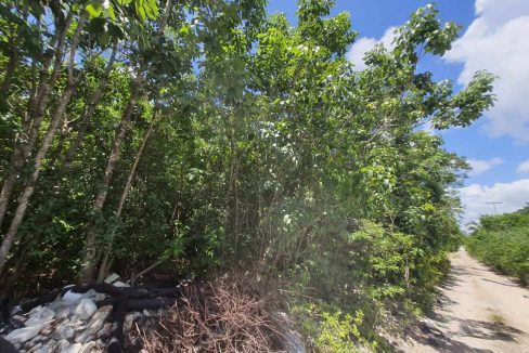 Nogal Alamos II 2022-07-26 at 11.06.55 AM (3)