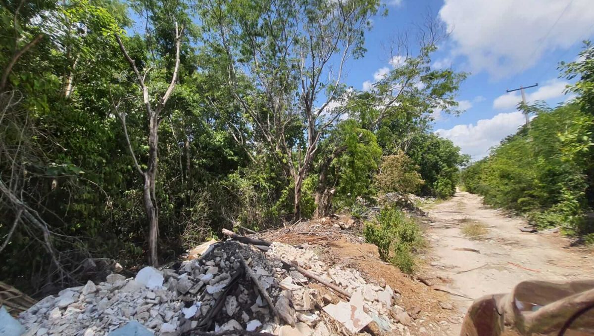 Nogal Alamos II 2022-07-26 at 11.06.55 AM (4)