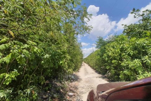 Nogal Alamos II 2022-07-26 at 11.06.56 AM (1)