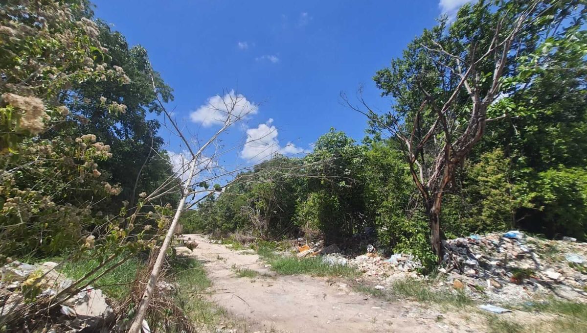 Nogal Alamos II 2022-07-26 at 11.06.56 AM