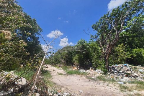 Nogal Alamos II 2022-07-26 at 11.06.56 AM