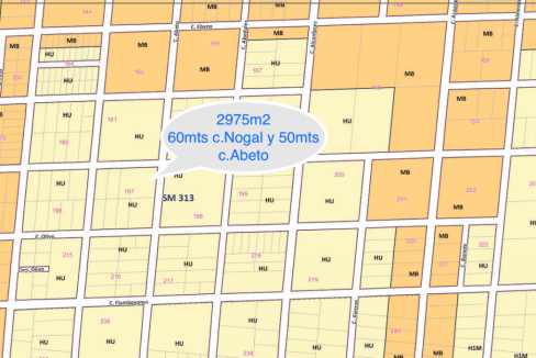 Nogal y Abeto Alamos II 200x680