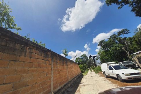 Nogal y Abeto Alamos II 2022-07-21 at 1.13.32 PM (1)