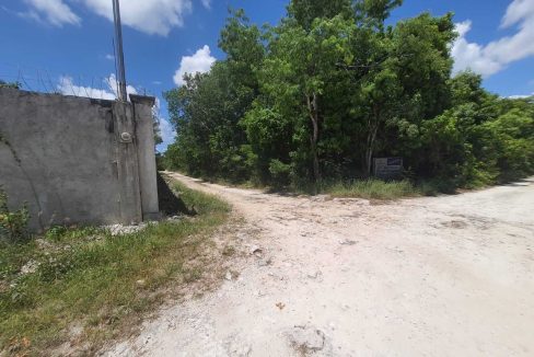 Nogal y Abeto Alamos II 2022-07-21 at 1.13.32 PM