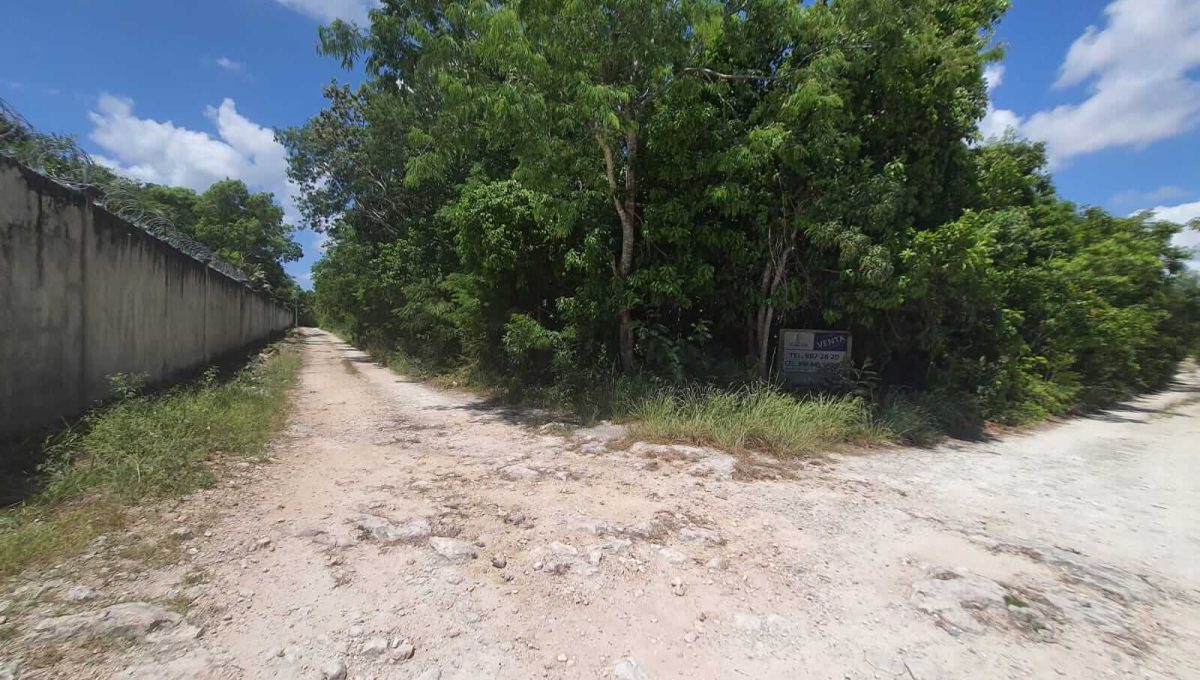 Nogal y Abeto Alamos II 2022-07-21 at 1.13.33 PM (1)