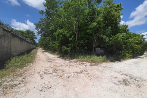 Nogal y Abeto Alamos II 2022-07-21 at 1.13.33 PM (1)