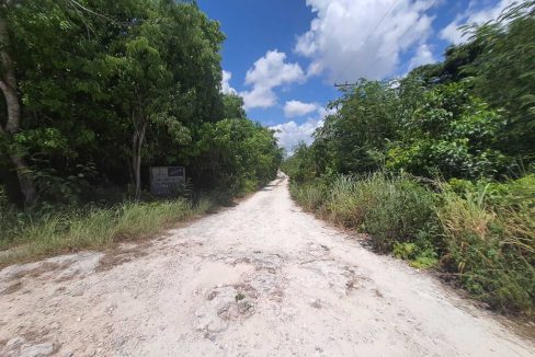 Nogal y Abeto Alamos II 2022-07-21 at 1.13.33 PM (2)