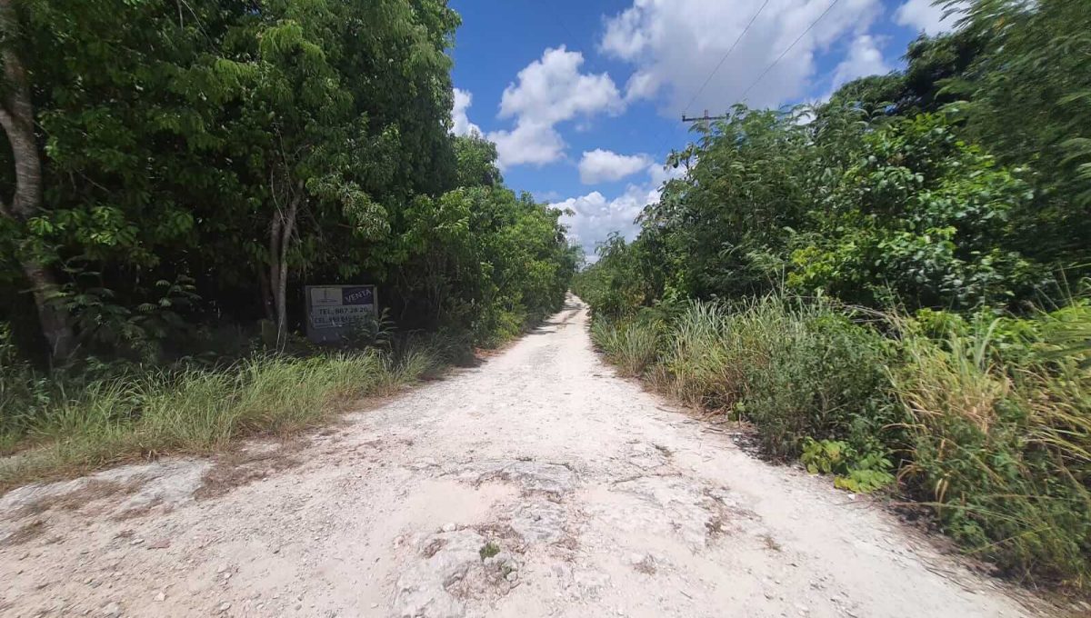 Nogal y Abeto Alamos II 2022-07-21 at 1.13.33 PM (3)