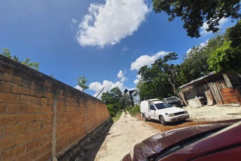 Nogal y Abeto Alamos II 2022-07-21 at 1.13.33 PM