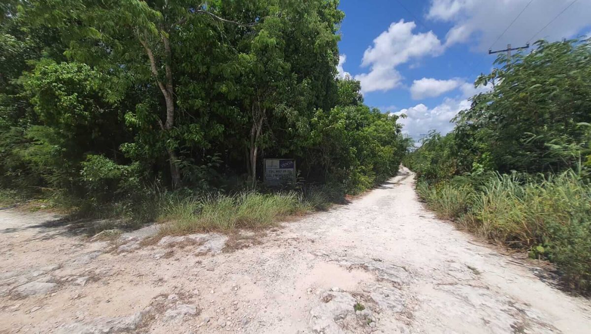 Nogal y Abeto Alamos II 2022-07-21 at 1.13.33 PM (5)