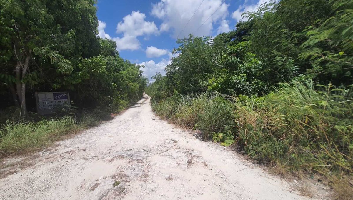 Nogal y Abeto Alamos II 2022-07-21 at 1.13.33 PM (6)