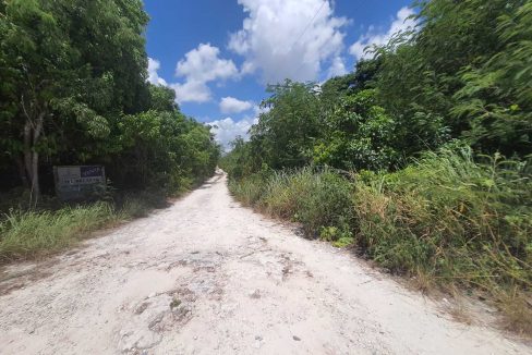 Nogal y Abeto Alamos II 2022-07-21 at 1.13.33 PM (6)