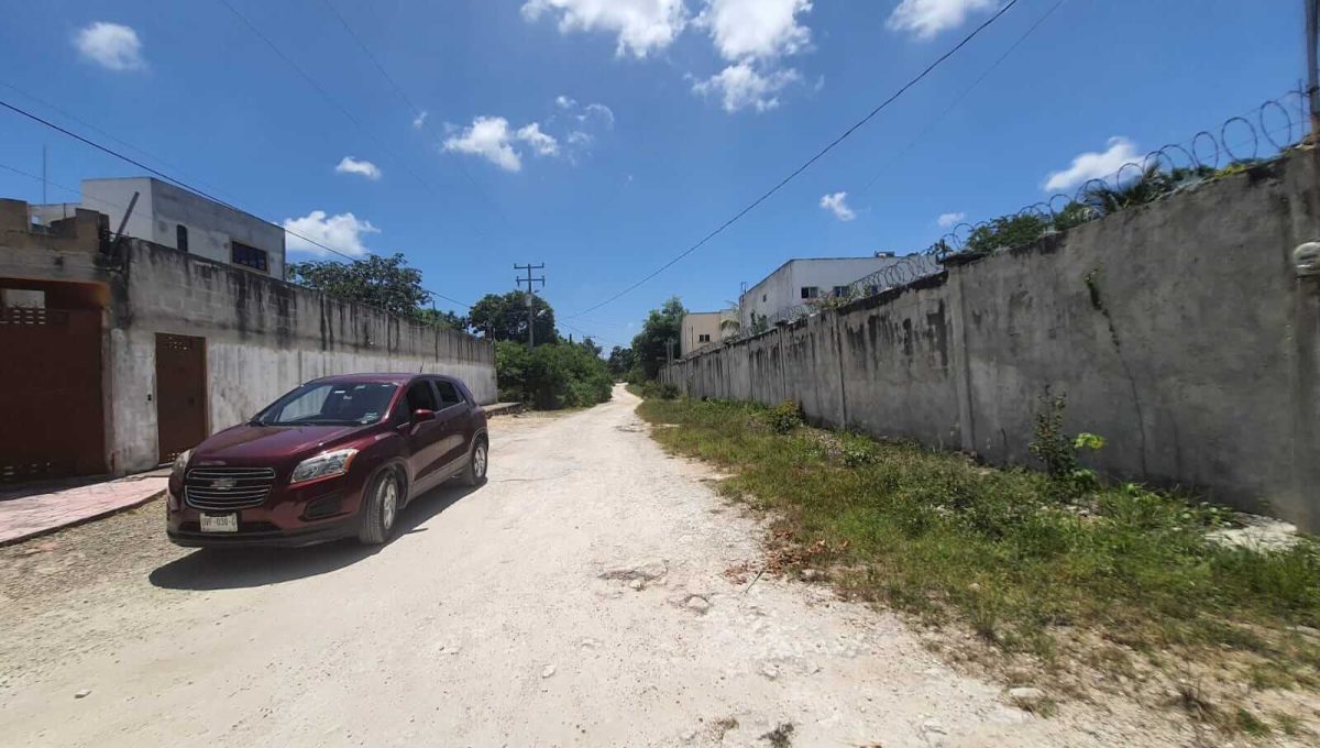 Nogal y Abeto Alamos II 2022-07-21 at 1.13.34 PM (1)