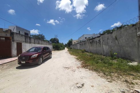 Nogal y Abeto Alamos II 2022-07-21 at 1.13.34 PM (1)