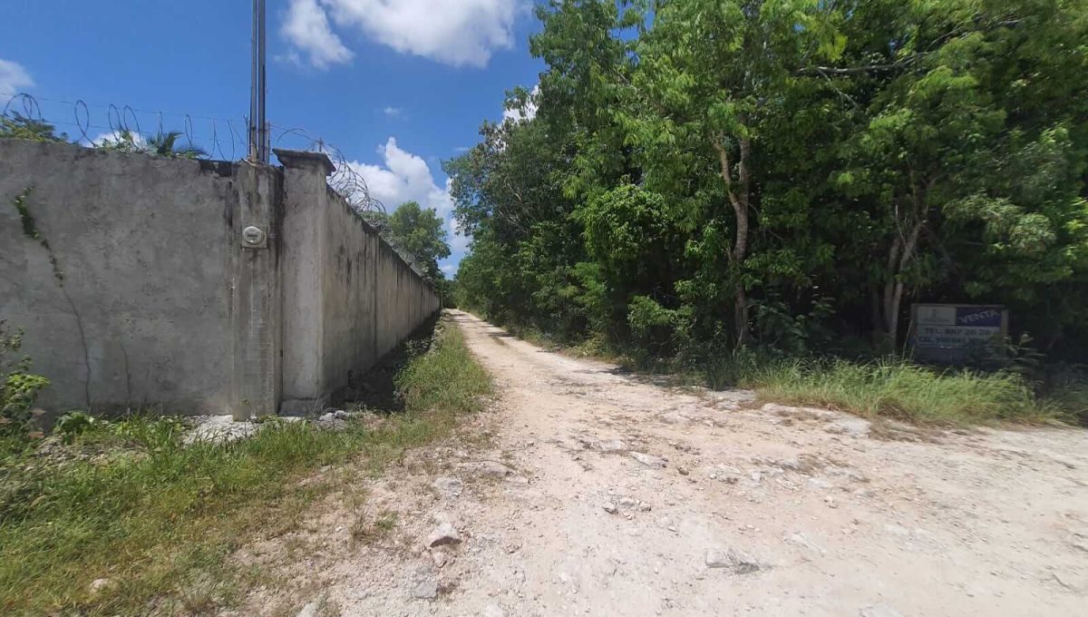 Nogal y Abeto Alamos II 2022-07-21 at 1.13.34 PM