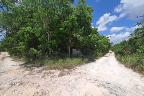 Nogal y Abeto Alamos II 2022-07-21 at 1.13.34 PM (2)