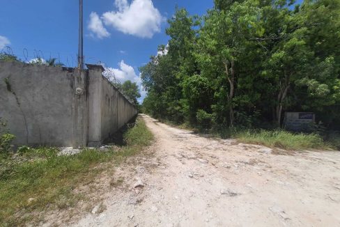 Nogal y Abeto Alamos II 2022-07-21 at 1.13.34 PM