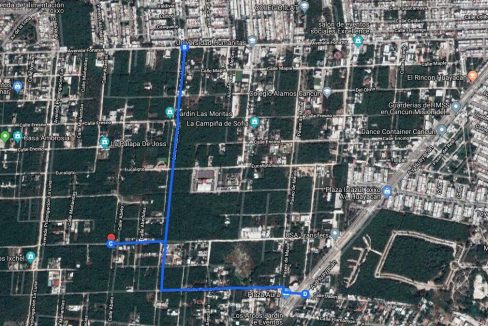 Nogal y Abeto Alamos II