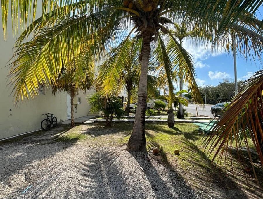 Oficina Call Center CEDIS2X_994778-MLM76813187612_062024-F