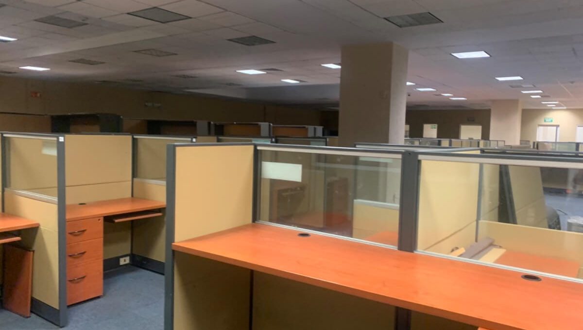 Oficina Call Center CEDIS2X_998497-MLM77019618669_062024-F