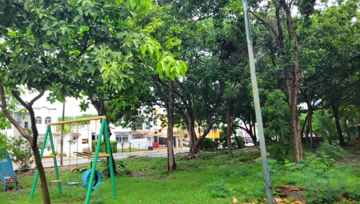 Paseos del Caribe 2026-10-20 at 2.46.29 PM-14