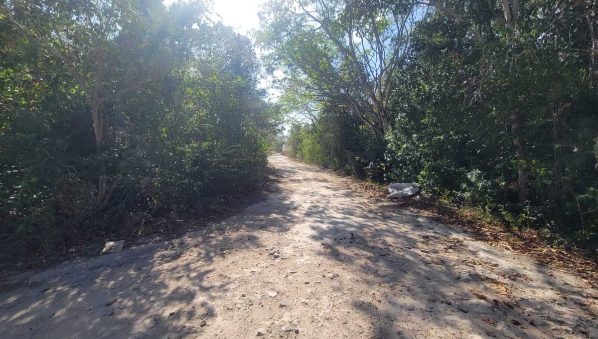 Prolongación La Luna y Calle Mañanitas-2024-04-02-at-2.22.44-PM-2-1