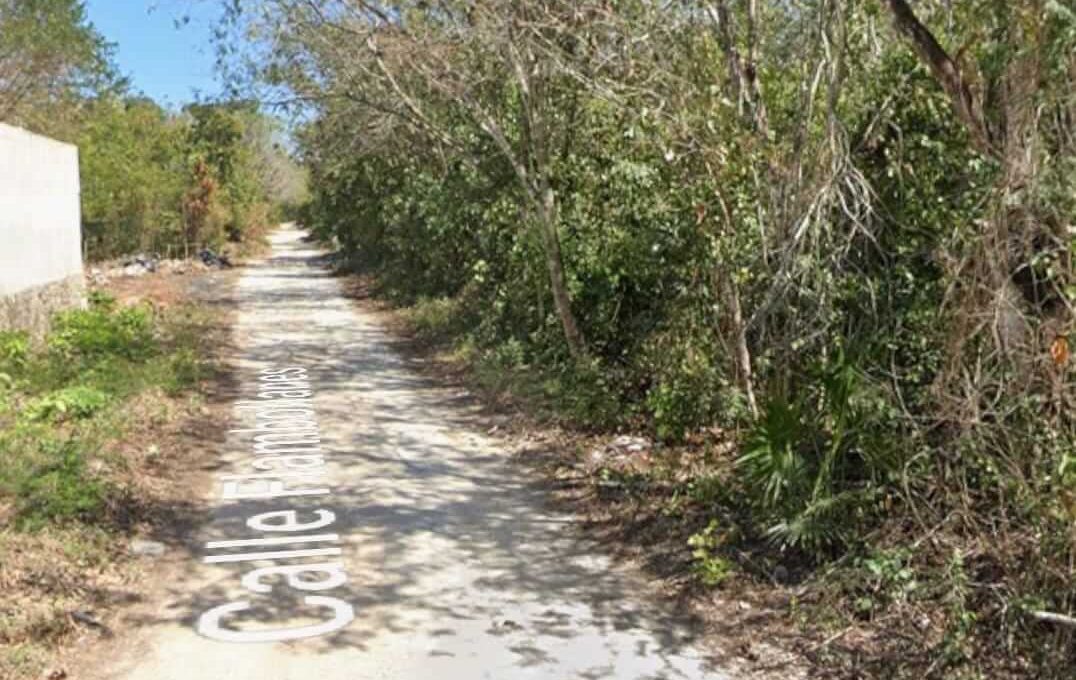 Prolongación La Luna y Calle Mañanitas-2024-05-17-at-1.48.55-PM-2 (1)