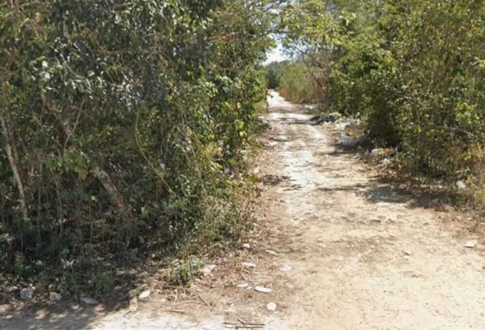 Prolongación La Luna y Calle Mañanitas-2024-05-17-at-1.48.55-PM-3 (1)