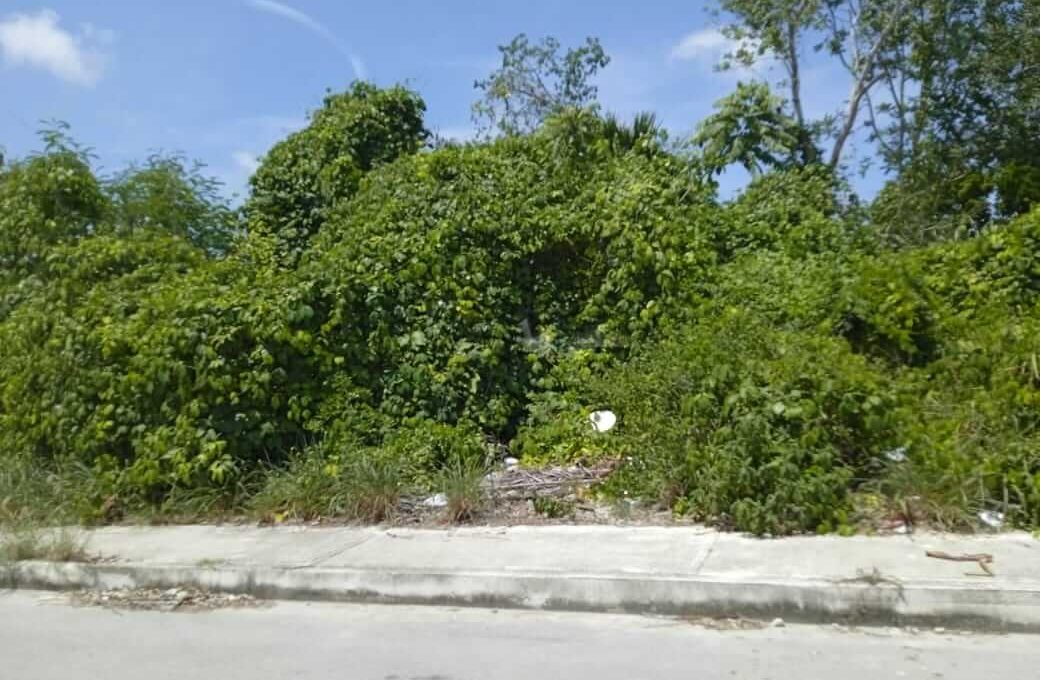 Rancho Viejo 5,000mts 2024-02-23 at 5.14.48 PM (1)