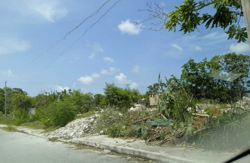 Rancho Viejo 5,000mts 2024-02-23 at 5.14.48 PM