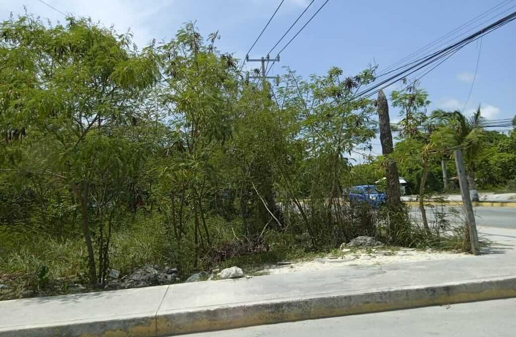 Rancho Viejo 5,000mts 2024-02-23 at 5.14.48 PM (2)