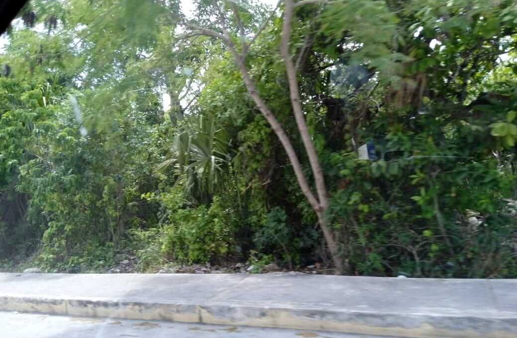 Rancho Viejo 5,000mts 2024-02-23 at 5.14.49 PM (1)