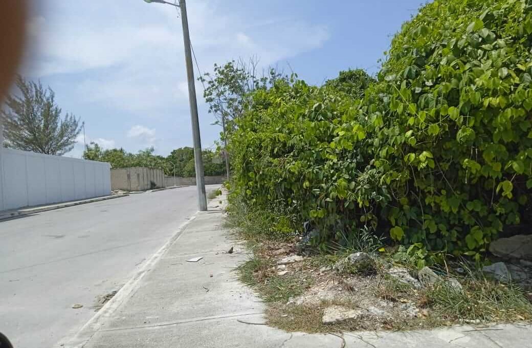 Rancho Viejo 5,000mts 2024-02-23 at 5.14.49 PM