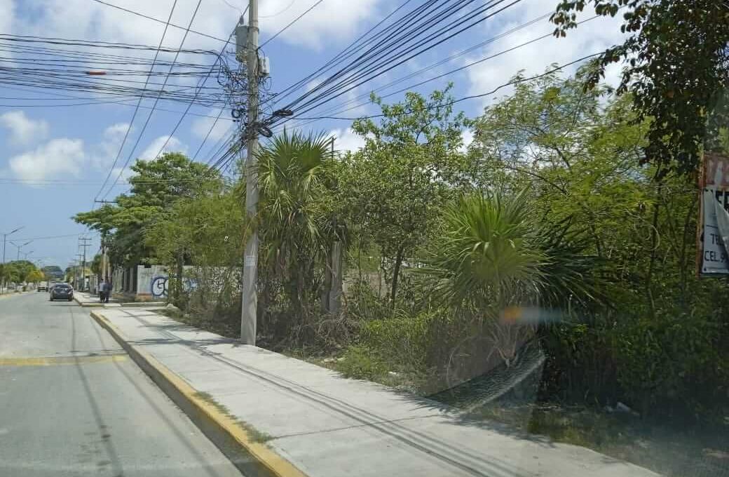 Rancho Viejo 5,000mts 2024-02-23 at 5.14.49 PM (3)