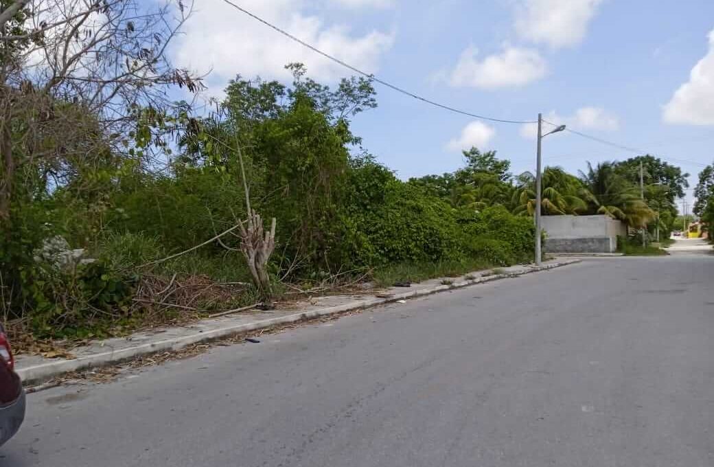 Rancho Viejo 5,000mts 2024-02-23 at 5.14.49 PM (4)